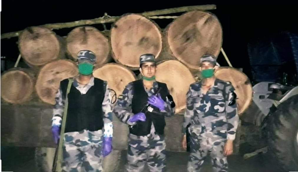 सशस्त्र प्रहरी बलद्वारा अवैध काठ पक्राउ