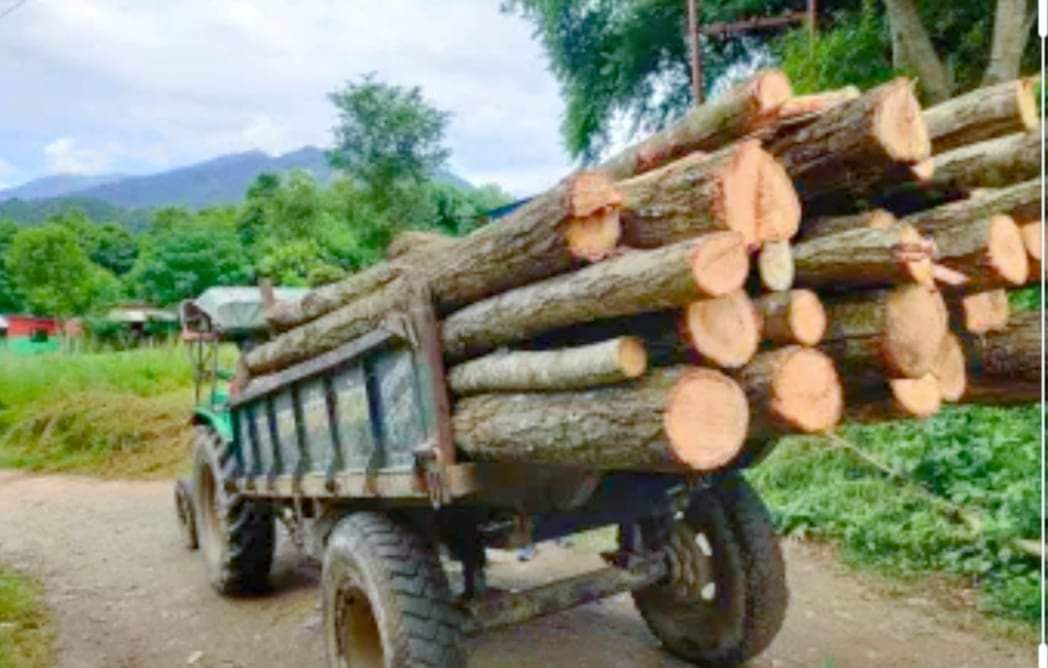 बर्दिया प्रहरीले अवैध सालको काठसहित ट्र्याक्टर पक्राउ