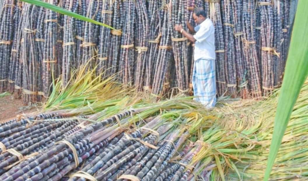 उखु किसानलाई पैसा थग्ने चिनी मिलका सञ्चालक राकेश अग्रवाल पक्राउ