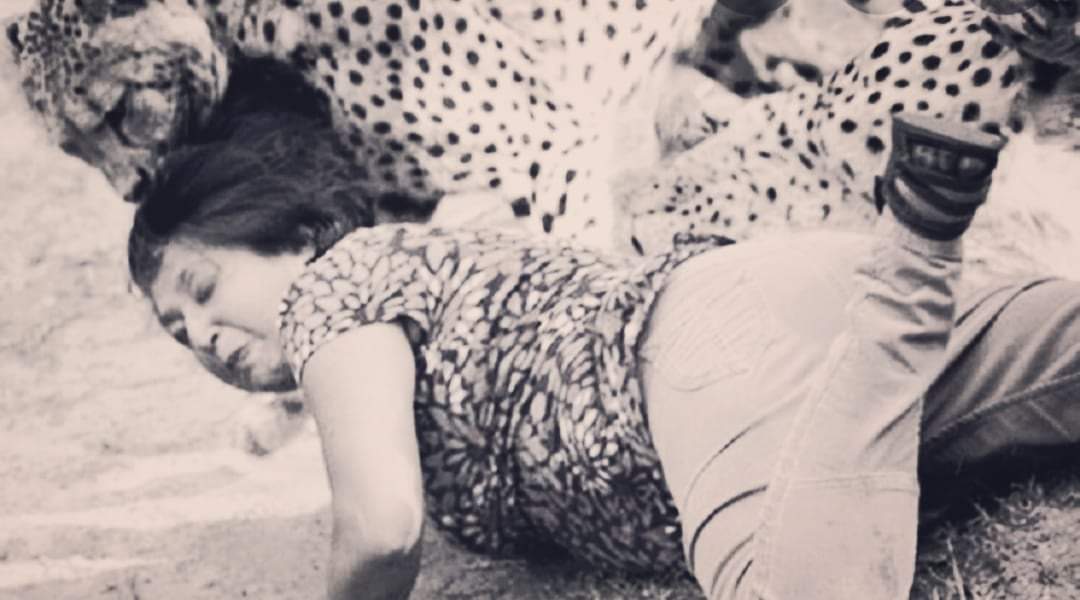 दाङमा बाघको आक्रमणबाट एक महिला गम्भीर घाइते