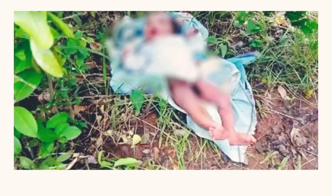 काठमाडौंमा नवजात शिशुको फेला२० वर्षीया आमा पक्राउ