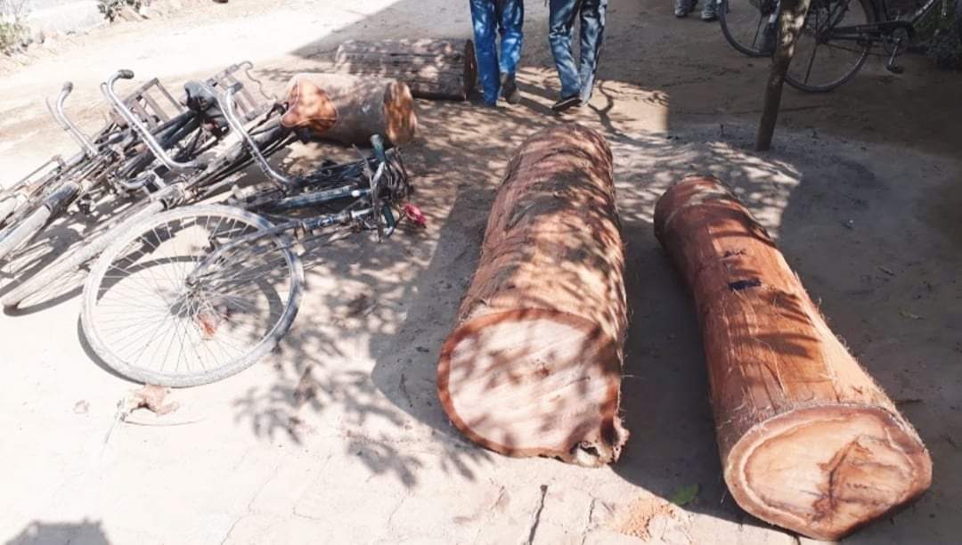 सालको अवैध काठ पक्राउ तस्करहरु फरार