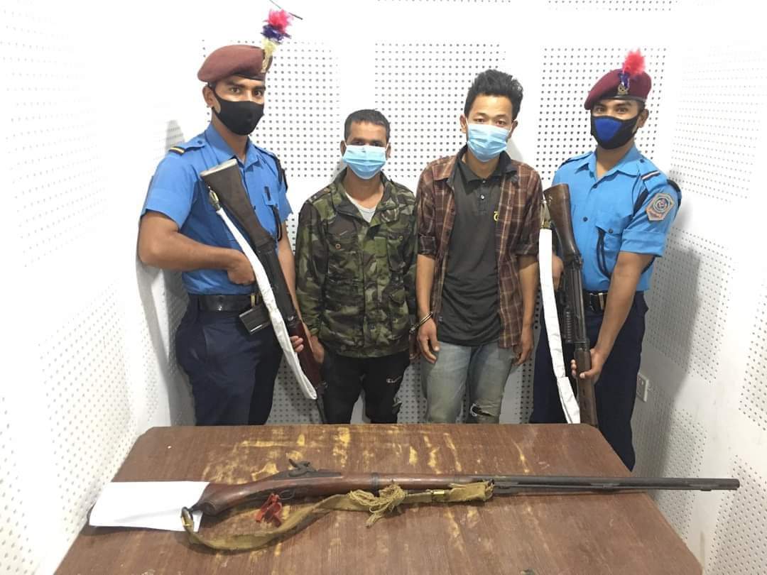 दाङ प्रहरीले भरुवा बन्दुकसहित दुईजना पक्राउ