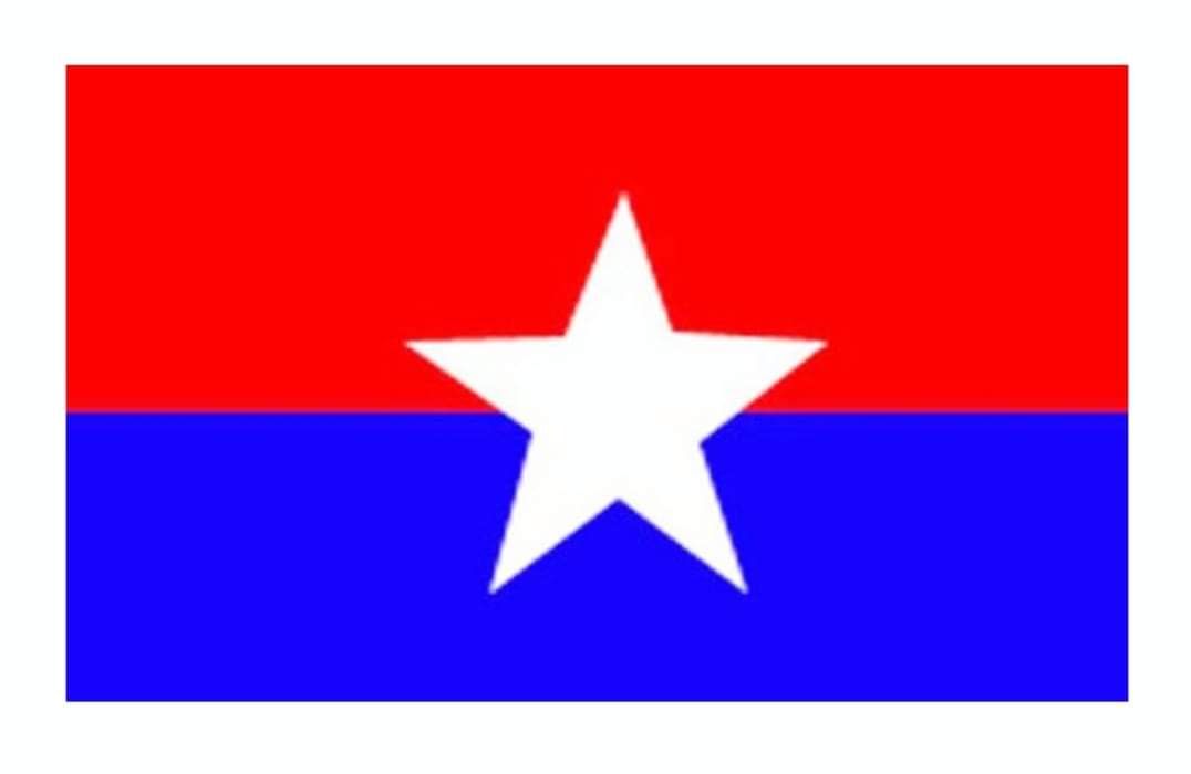 राष्ट्रिय युवा संघको जिम्मेवारी बाँडफाँड गरेर टुङ्गियो