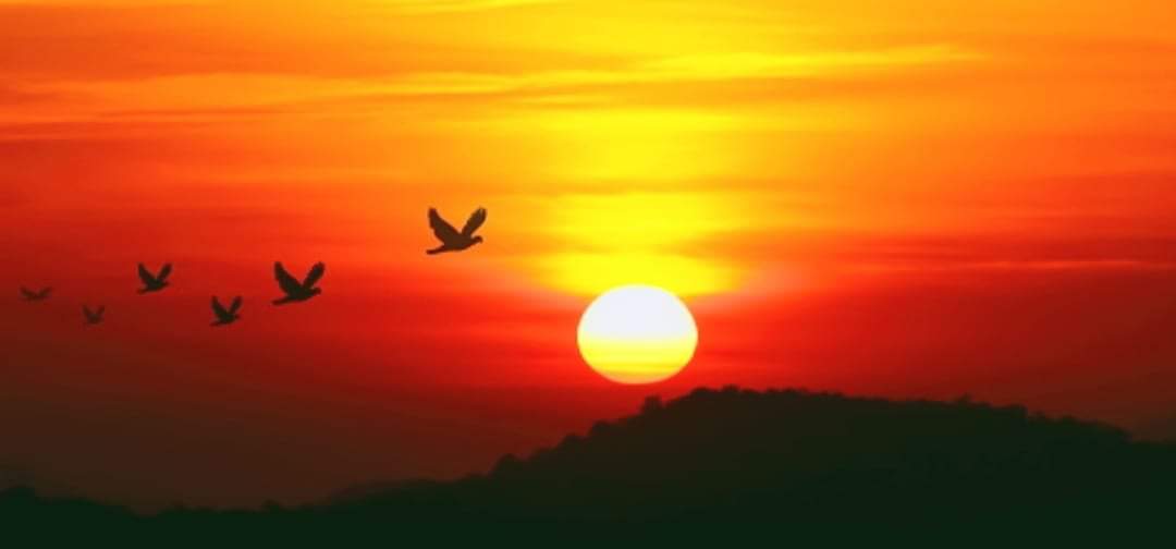 नयाँ वर्ष प्रारम्भ एकआपसमा शुभकामना आदानप्रदान गरी मनाइँदै