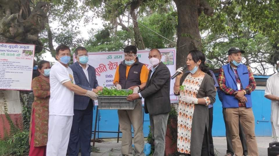 पशुपति क्षेत्र विकास कोष परिसरमा रोपियो वनस्पति गुर्जोको ५ सय विरुवा