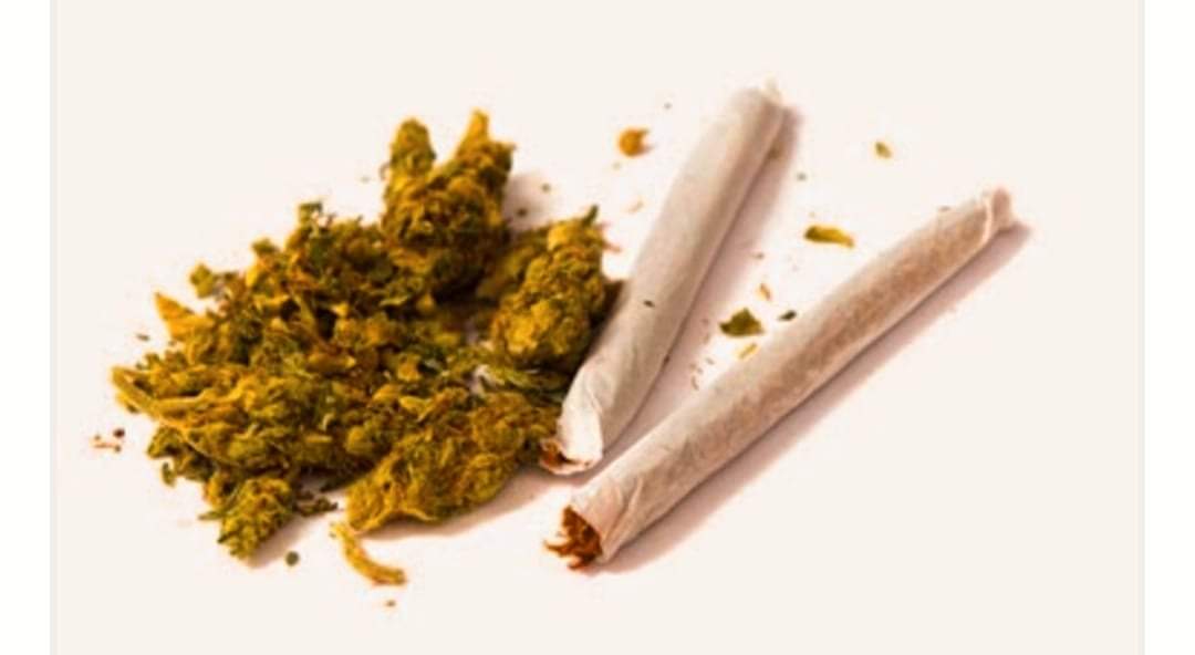 चुरोटमा गाजा हालेर खाने र प्रहरीलाई ५ सय घुस दिनने एक पक्राउ