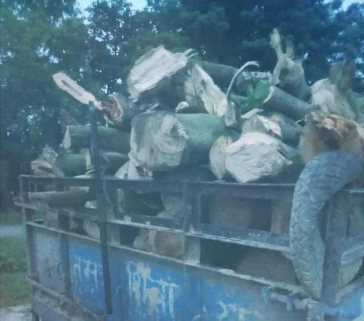 दाङ प्रहरीले अवैध काठसहित टेक्टर र दुई जना पक्राउ