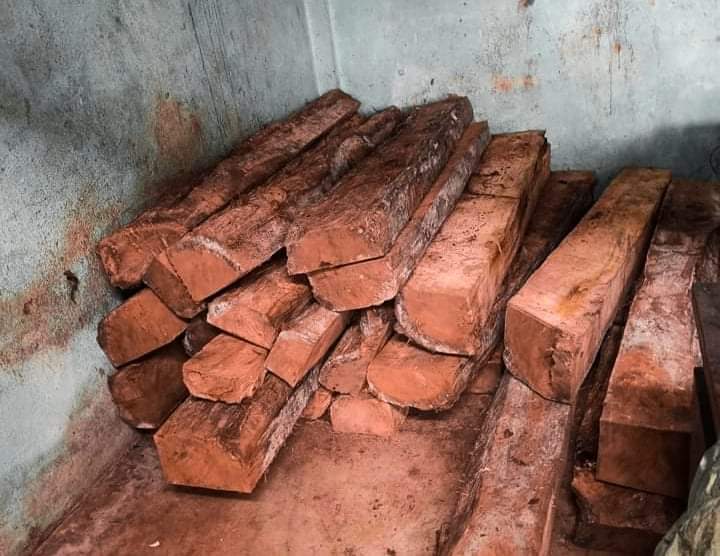 दाङ प्रहरीले सालको २७ थान चिरान काठ पक्राउ