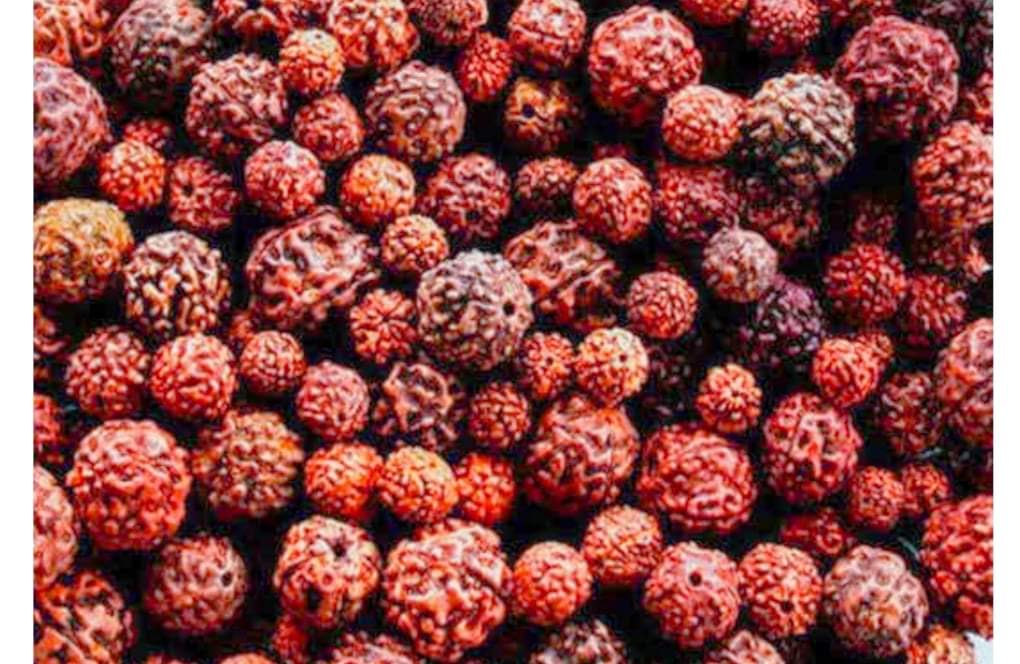 सशस्त्र प्रहरीले सीमा नाकाबाट ४ लाखको रुद्राक्ष माला पक्राउ