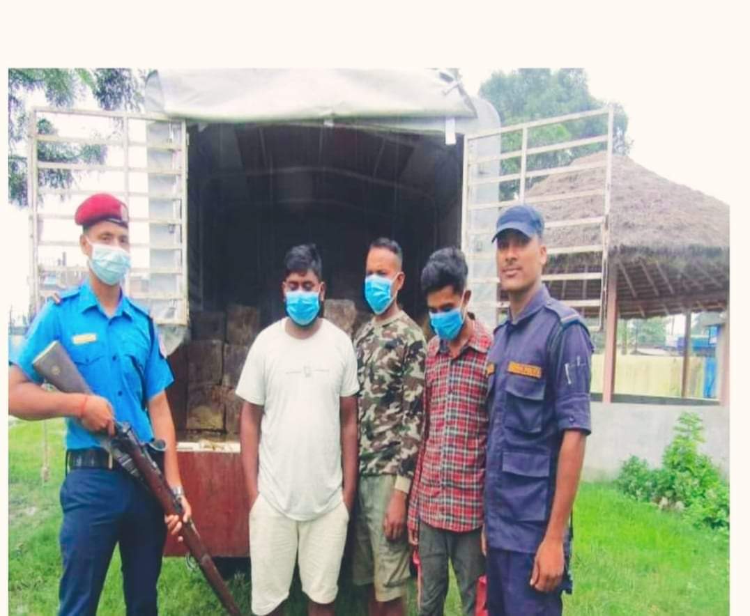 दाङ प्रहरीले चोरी निकासी गर्ने अवैध सालको काठ पिकप सहित ३ जना पक्राउ