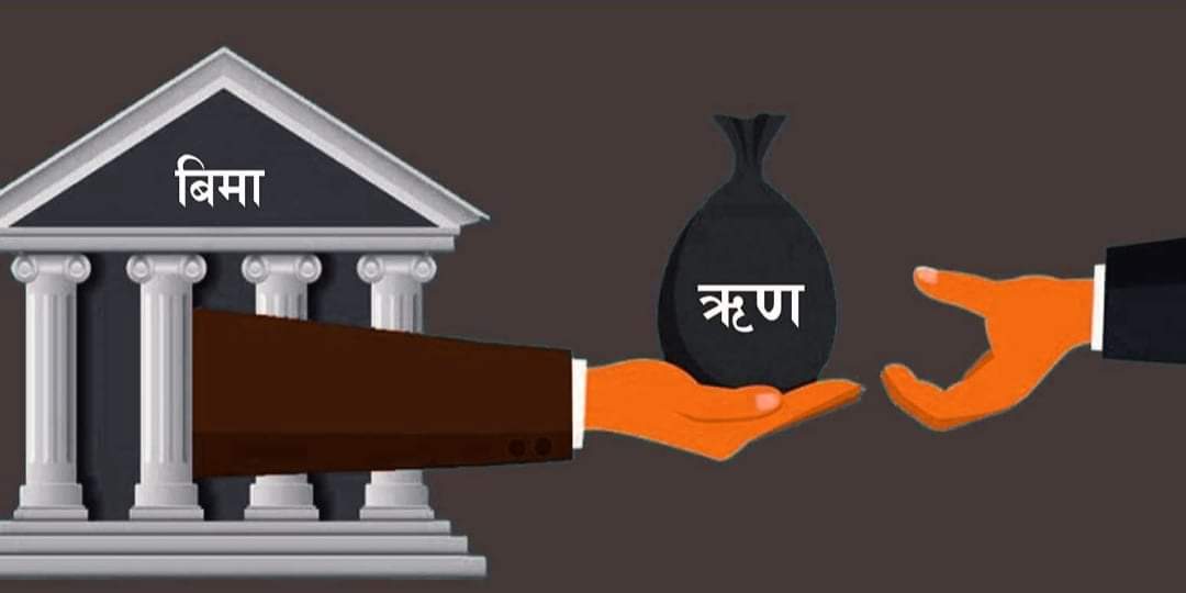 बिमा कम्पनीहरुको कर्जा ब्याज बैंकको भन्दा धेरै महँगो