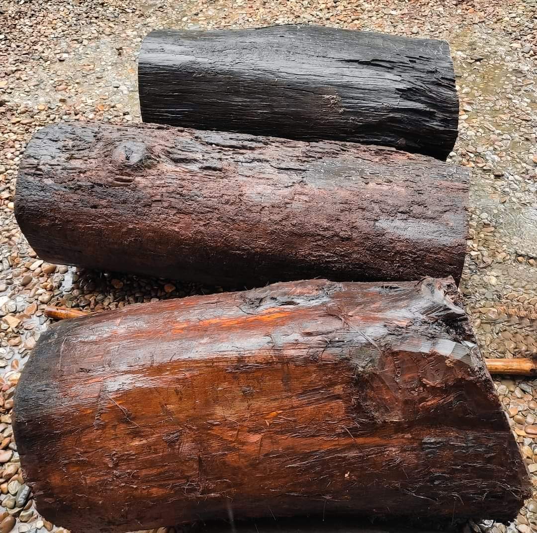 बाँके प्रहरीले अवैध सलको ३ थान काठ पक्राउ