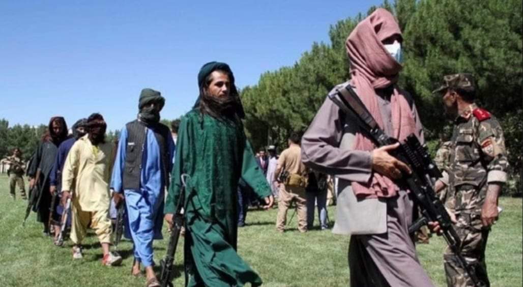 अफगानिस्तानमा तालिबानले एक पत्रकारको हत्या गरेको छन