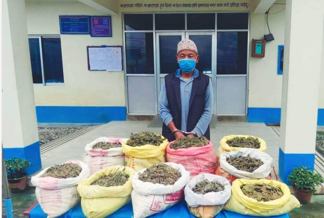 खोटाङमा १५ किलो गाँजासहित एकजना वृद्ध पक्राउ