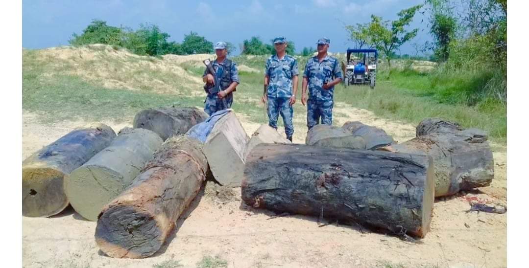 बर्दिया सशस्त्र प्रहरीले १ लाख १५ हजार सामान र काठ बरामद