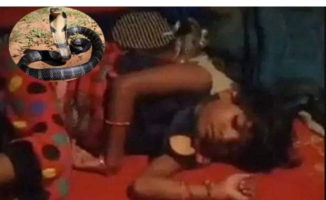 बालिकालाई कोब्रा सापले २ घन्टासम्म घाँटीमा किन बेर्यो ?