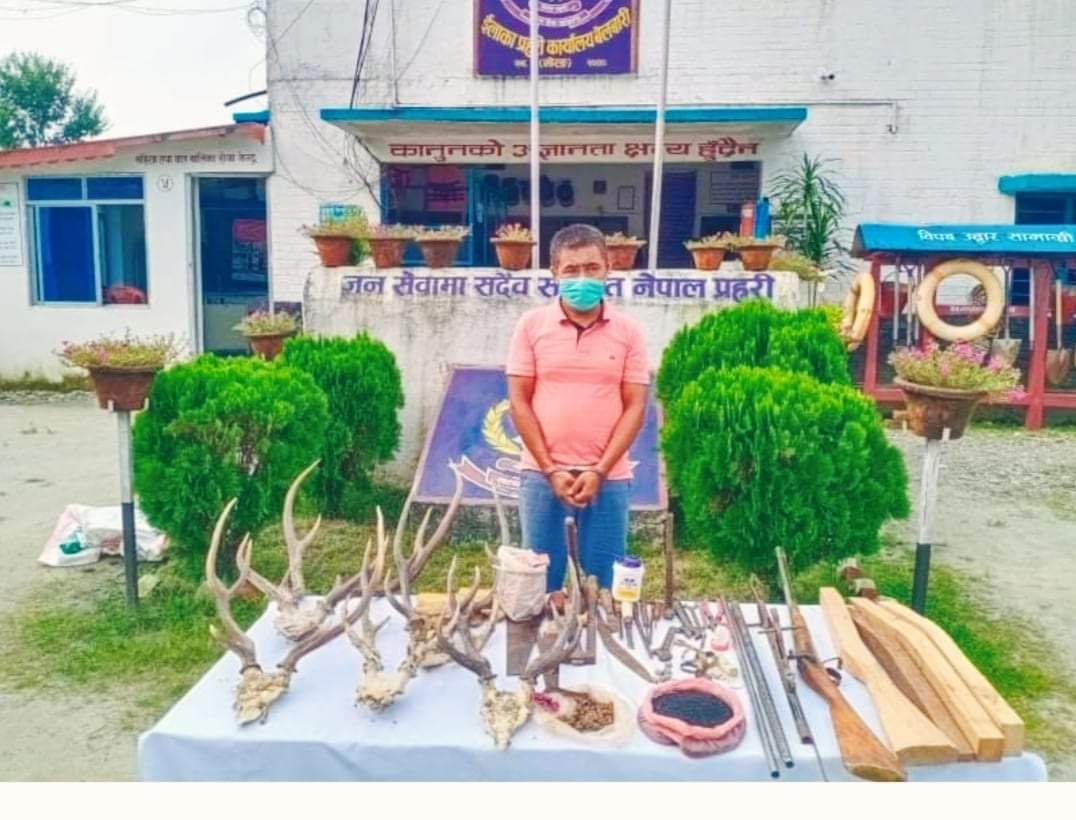 मोरङमा भरुवा बन्दुक बनाउने कारखाना भेटियो बनाएर बेच्ने एकजना पक्राउ