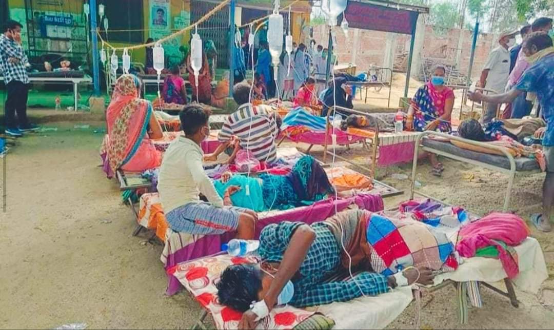 कपिलवस्तुमा झाडाबान्ता रोग फैलियो ४ सय बिरामी १० को अवस्था गम्भीर