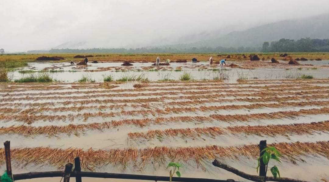 बर्षाले लुम्बिनी प्रदेशमा ४ अर्बभन्दा बढीको क्षति