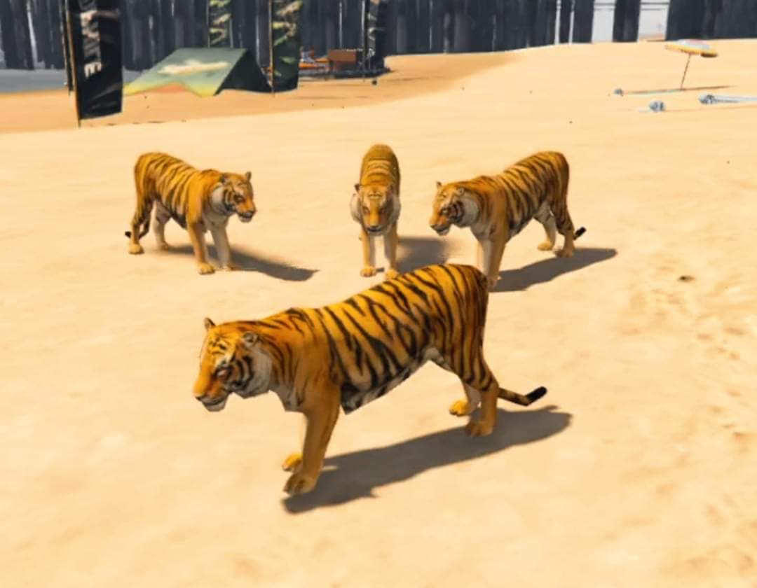 बाँकेमा पाटेबाघको आतंक बाघले घेरा हालेपछि ज्यान बचाउन रुखमा निकुञ्ज बेखबर ?