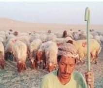 साउदीमा १ नेपालीको बिचल्ली उद्घार गरिदिन नेपाल सरकारलाई आग्रह…