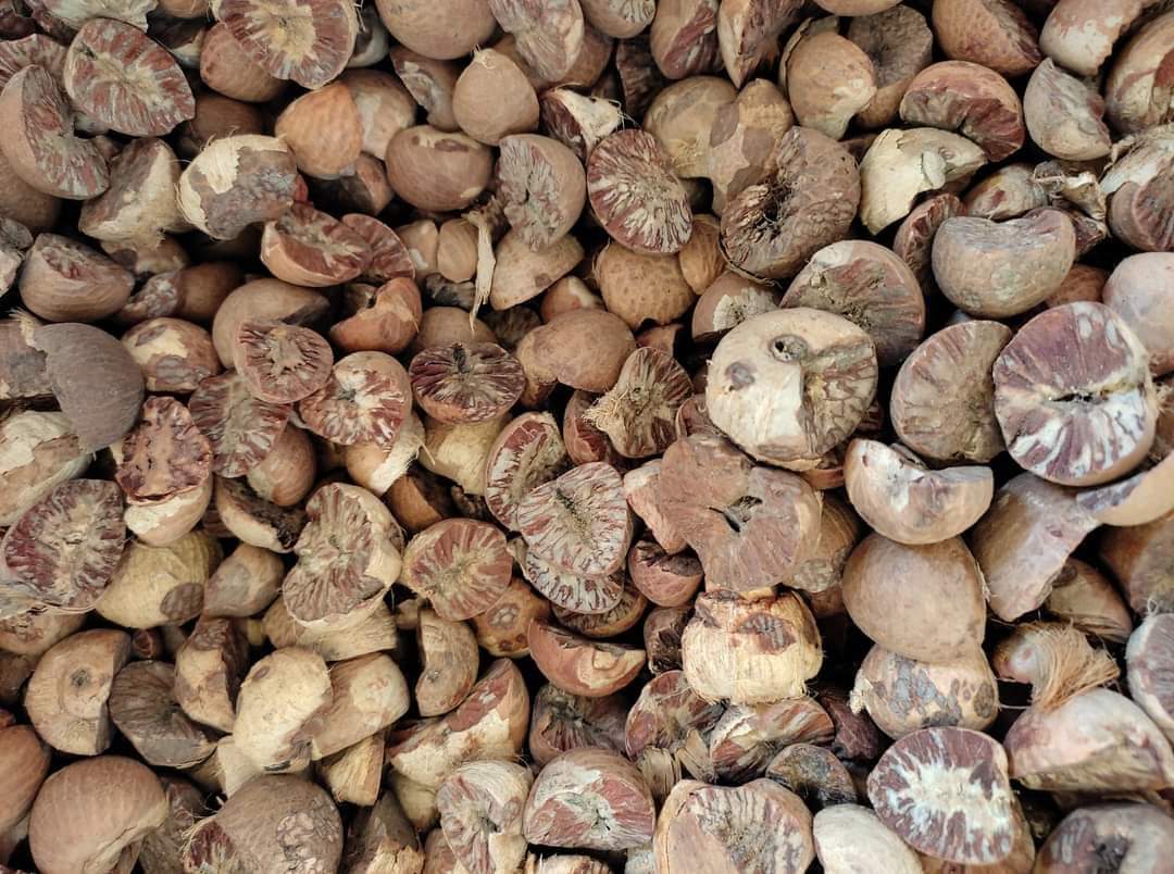 बाँके प्रहरीले जमुनाह नाकाबाट लाखौंको अबैध सुपारीसहित सामाग्रीहरु पक्राउ