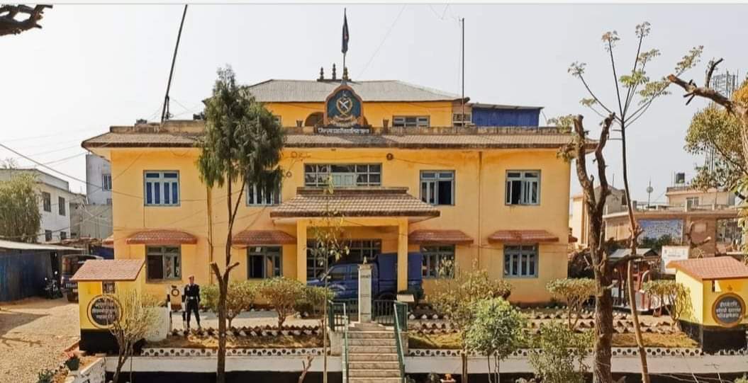 पाल्पामा छोरोले आमालाई चिर्पट दाउराले हानेर गरे हत्या