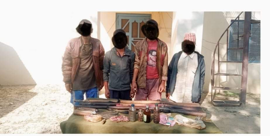 बर्दिया राष्ट्रिय निकुञ्जले शिकार गर्ने हातहतियार सहित ४ जना पक्राउ
