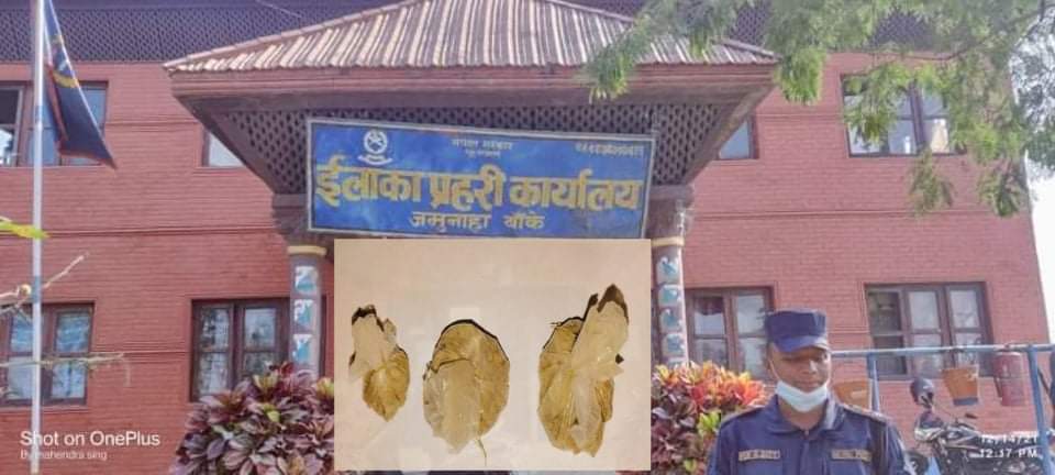 जमुनाहा प्रहरीले भित्री बस्त्रमा लुकाएर ल्याएको ब्राउन सुगरसहित २ जना पक्राउ