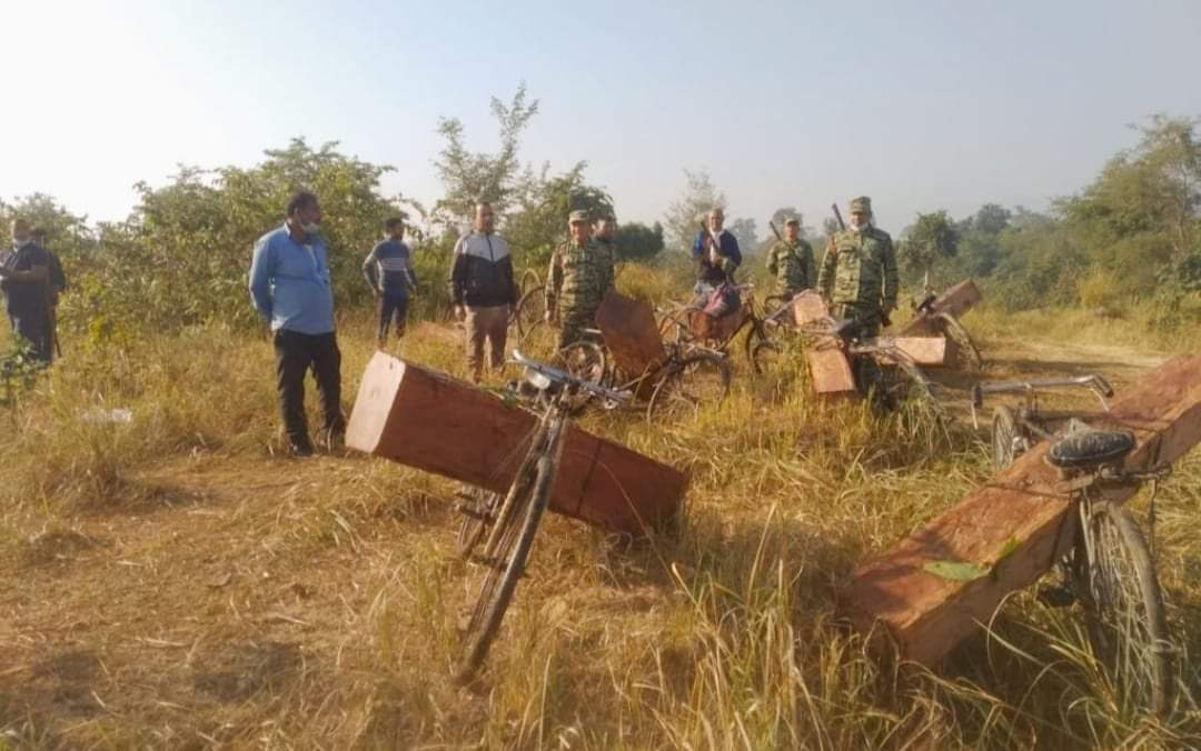कपिलवस्तुमा शिबराज साझेदारी बनबाट अवैध सालको काठहरु पक्राउ