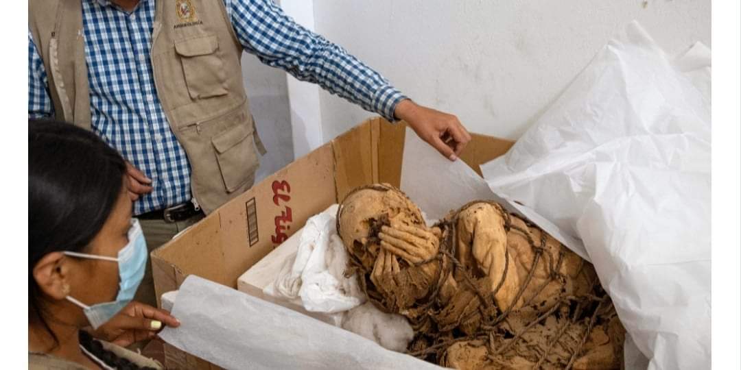 पेरुमा हात खुट्टा बाँधिएको अवस्थामा भेटियो सयौं वर्षअघिको मम्मी फेला