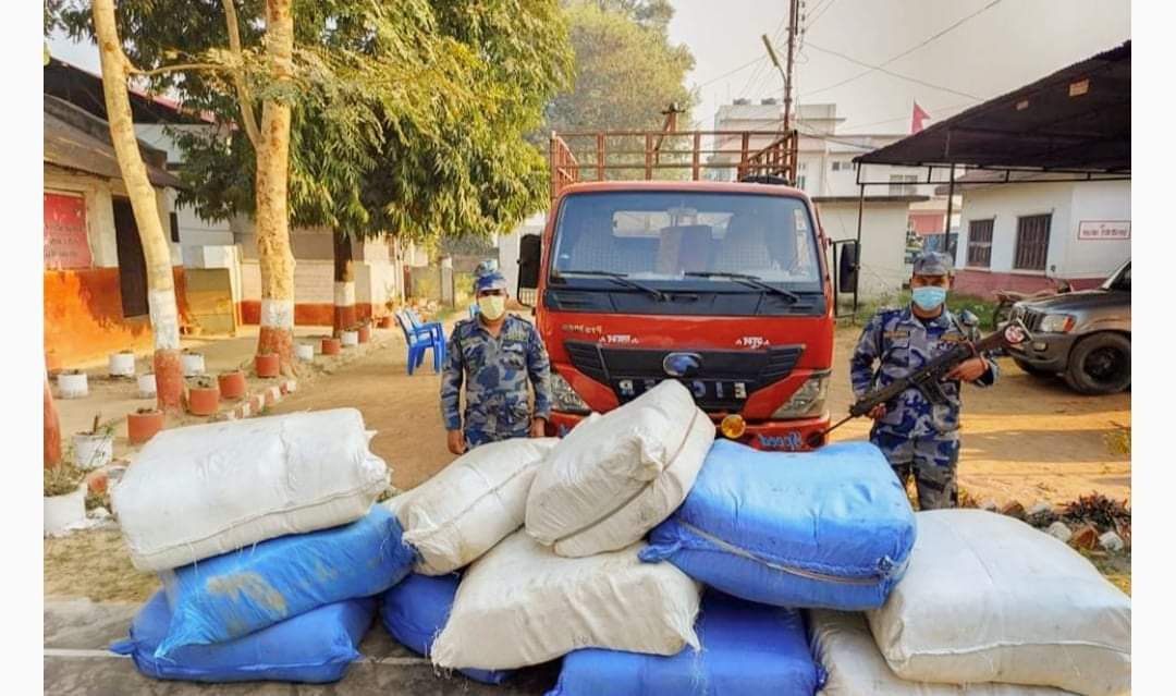 सशस्त्र प्रहरी बिओपी जमुनाहले ठुलो परिमाणमा लेडिज कपडासहित मिनि ट्रक पक्राउ