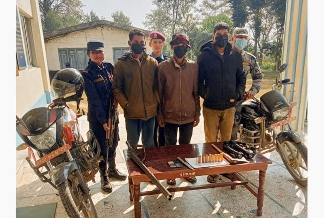 कैलालीबाट भरुवा बन्दुकसहित ३ जना पक्राउ