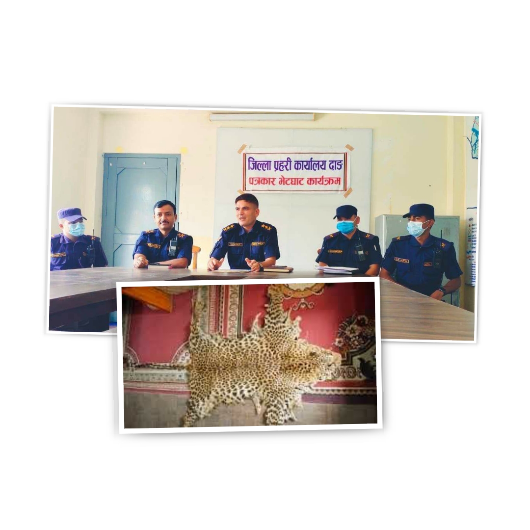 दाङ प्रहरीले बाघको छालासहित लमहीबाट ४ जना पक्राउ