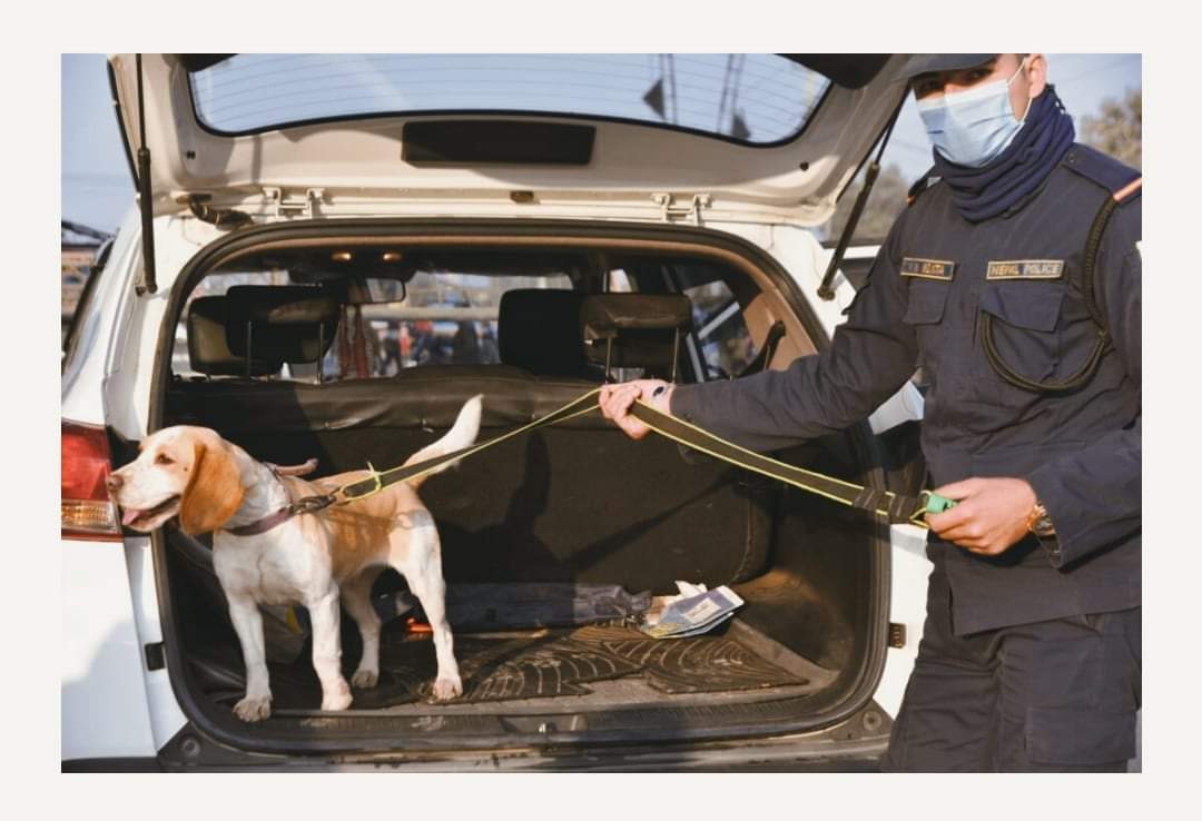 बाँके प्रहरीको सरप्राइज चेकिङ नेपालगन्जमा कुकुर सहितको