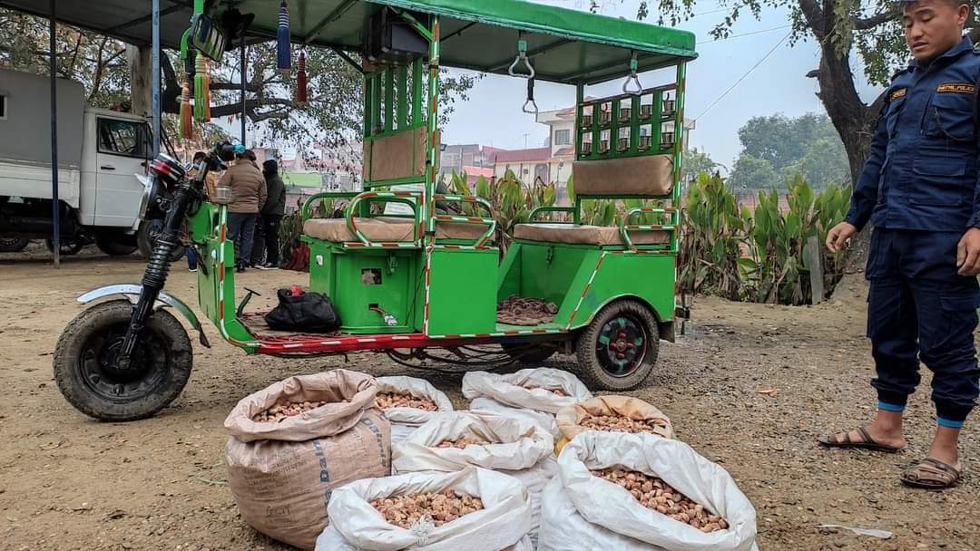 बाँके प्रहरीले नेपालबाट भारततर्फ लग्दै गरेको ठुलो मात्रामा अबैध सुपारी पक्राउ