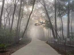 तराईको जिल्लामा हुस्सु कायमै घाम देख्न मुस्किल