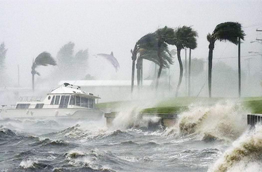 ब्राजिलमा विनाशकारी बाढीका कारण ३८ जनाको मृत्यु