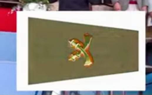 सशस्त्र प्रहरीको ५८ जना इन्स्पेक्टर डिएसपीमा बढुवा सिफारिस