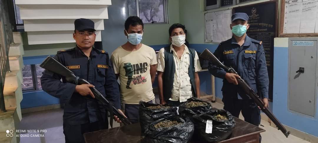 इप्रका भालुवाङको ठुलो सफलता ठुलो मात्रामा गाजासहित २ पक्राउ