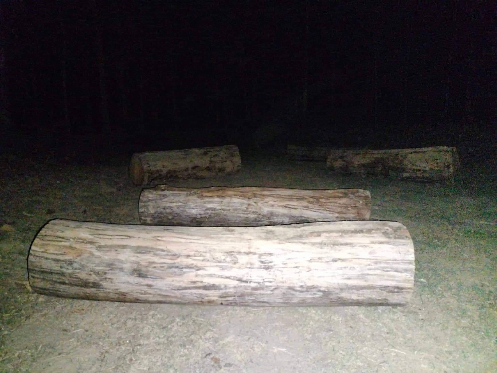 कपिलवस्तुको ठाकुरापुर बन र प्रहरीको मिलिमताे रातमा अबैध काठ तस्करी जारी