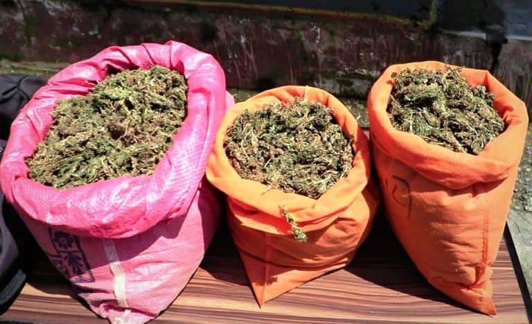 हेटौंडामा ५० किलो गाँजासहित १ जना भारतीय पक्राउ