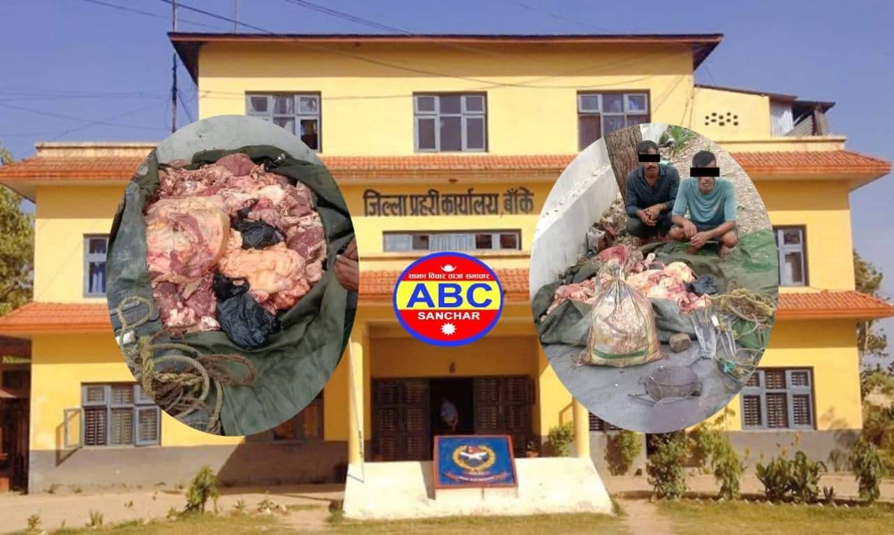 बाँके प्रहरीले गाईको मासुसहित २ जना पक्राउ