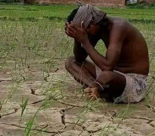 नरैनापुर गाँउपालिका सुख्खा क्षेत्र घोषणा, बिशेष राहतको प्याकेज ल्याउन माग