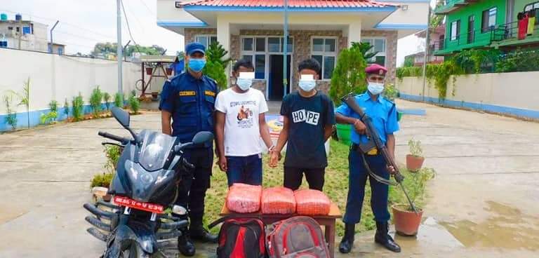 ७४ किलो गाँजासहित २ जना पक्राउ