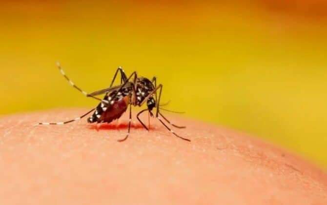 नेपाल भरमा फैलियो डेंगु सचेत रहन स्वास्थकर्मीको अनुरोध