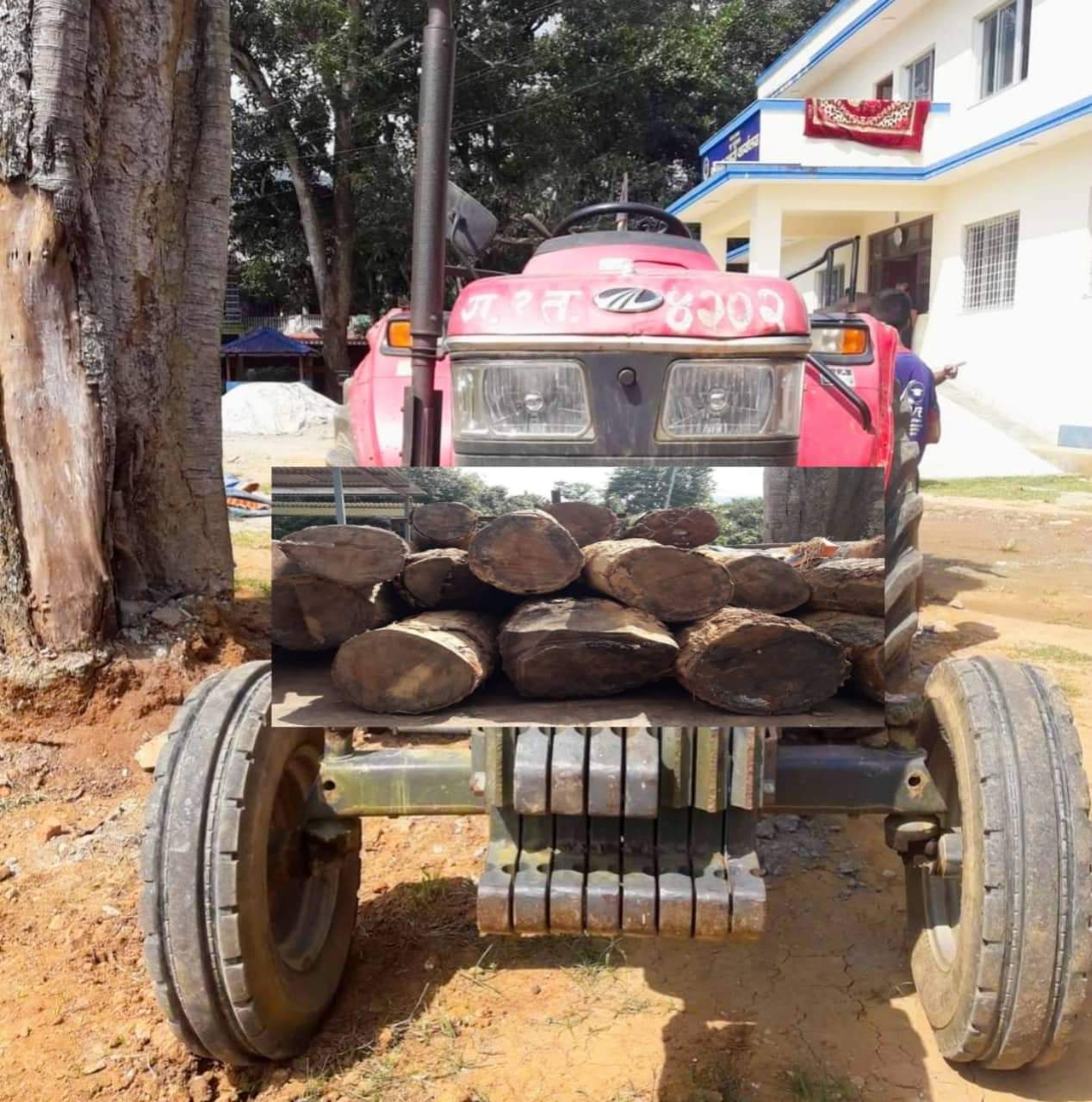 तनहुँ प्रहरीले अबैध सालको काठ र ट्याक्टर सहित १ जना पक्राउ