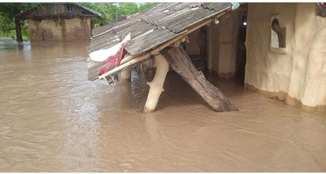 बाढीबाट ७ सय परिवार विस्थापित