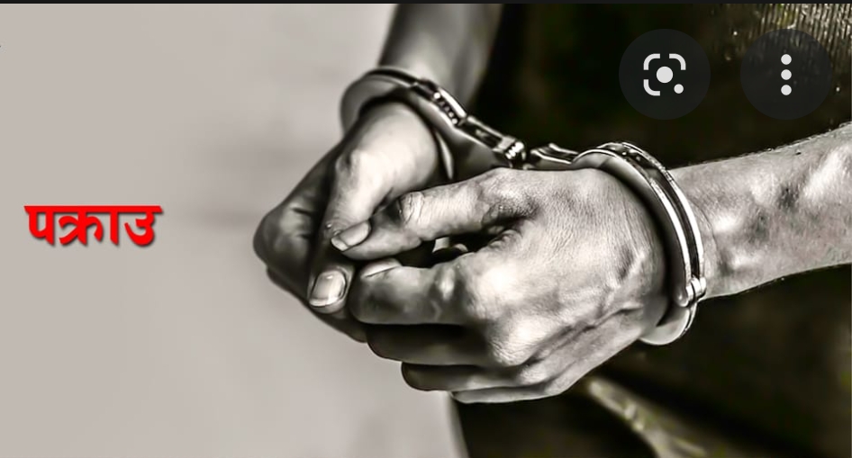 भीरबाट धकेलेको आरोपमा ७४ वर्षीय दाइ पक्राउ